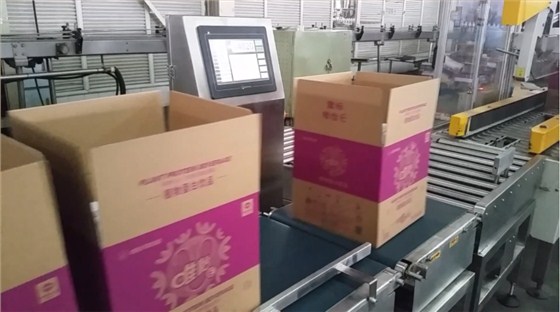 饮料果汁在线称重机